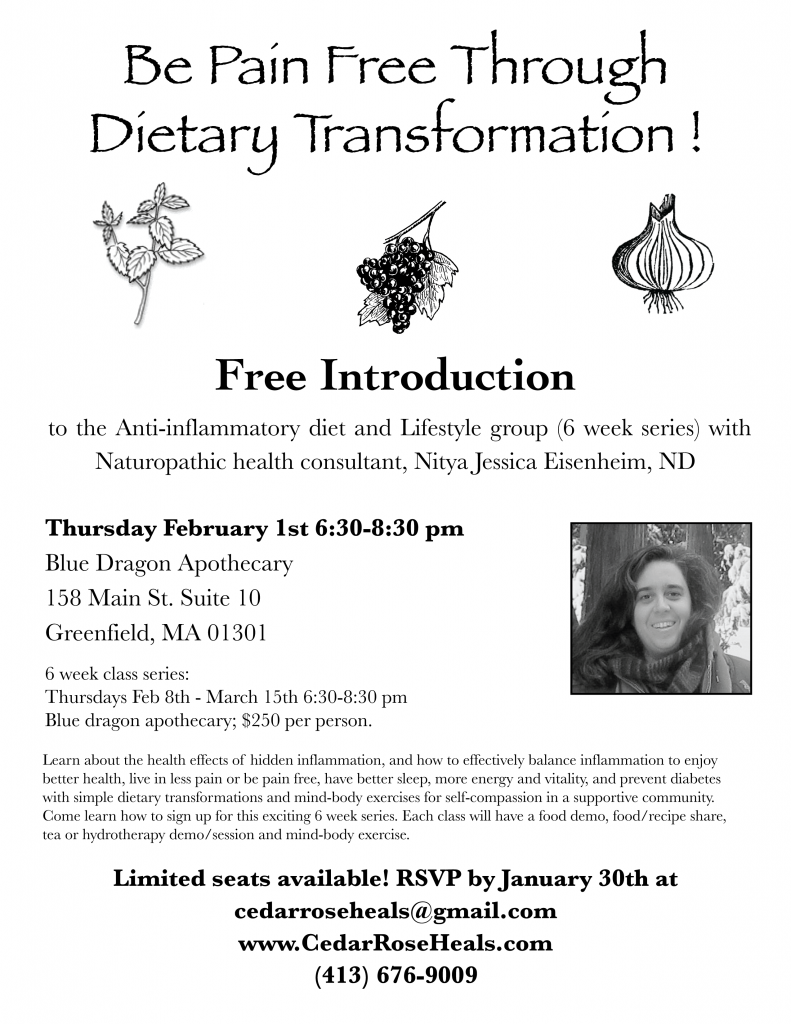 Free intro to Being Pain Free Through Dietary Transformation!