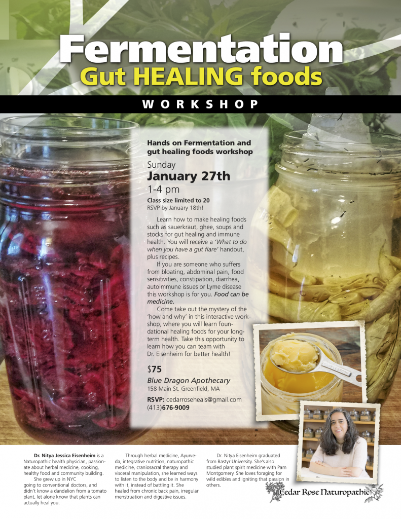 Hands on Fermentation and gut healing workshop